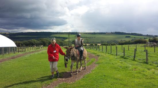Hall Hill Farm