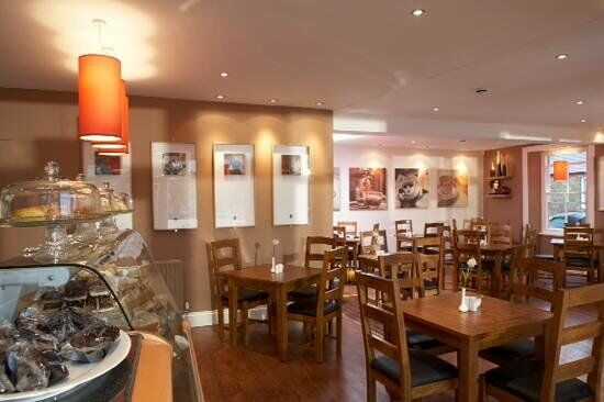 No 10 Cafe